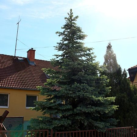 Dom Studia Petra Hotel Sturovo Luaran gambar
