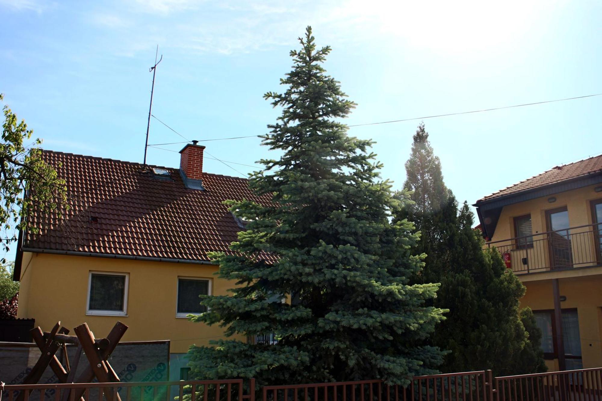 Dom Studia Petra Hotel Sturovo Luaran gambar